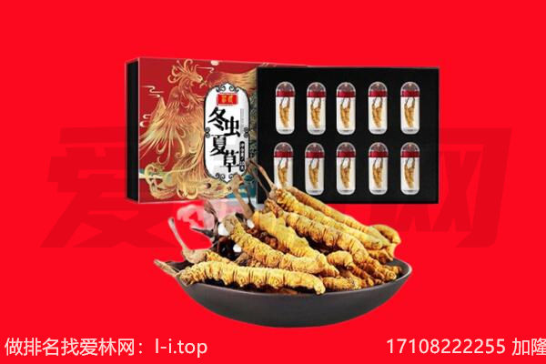 陇南回收虫草.jpg